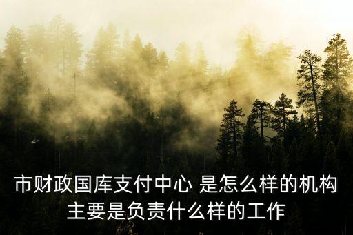 市財政國庫支付中心 是怎么樣的機構主要是負責什么樣的工作