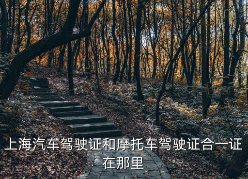 上海汽車駕駛證和摩托車駕駛證合一證在那里
