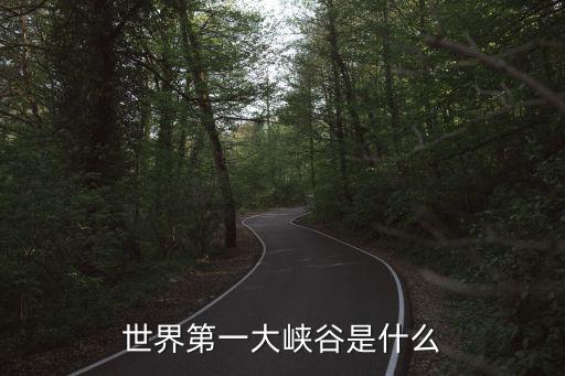 世界第一大峽谷是什么