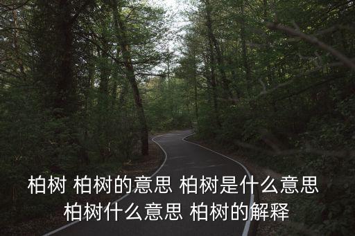 柏樹 柏樹的意思 柏樹是什么意思 柏樹什么意思 柏樹的解釋