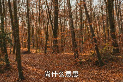 尚什么意思