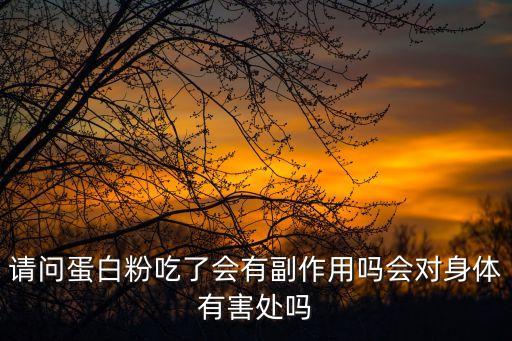 請問蛋白粉吃了會有副作用嗎會對身體有害處嗎