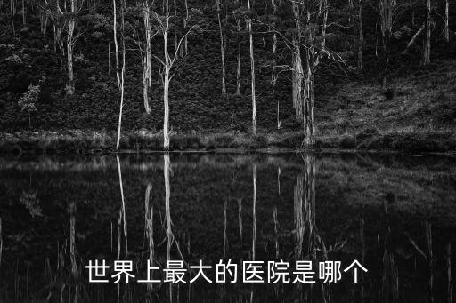 全球最大的醫院，世界上最大的醫院是哪個