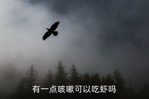 有一點咳嗽可以吃蝦嗎