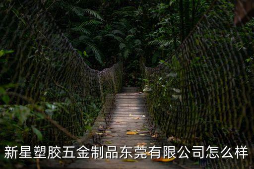 新星塑膠五金制品東莞有限公司怎么樣