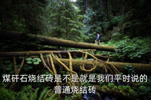 煤矸石燒結(jié)磚是不是就是我們平時說的普通燒結(jié)磚