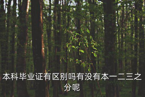本科畢業證，本科畢業證于專科畢業證有多大的區別