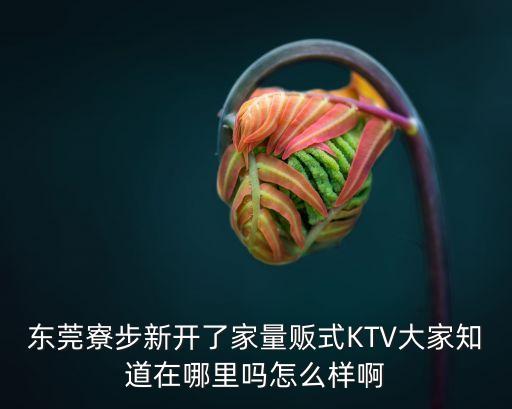 東莞寮步新開了家量販?zhǔn)終TV大家知道在哪里嗎怎么樣啊