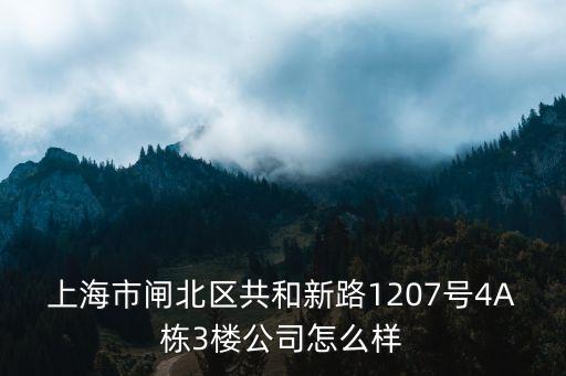 上海市玉城寶都，上海市閘北區(qū)共和新路1207號(hào)4A棟3樓公司怎么樣