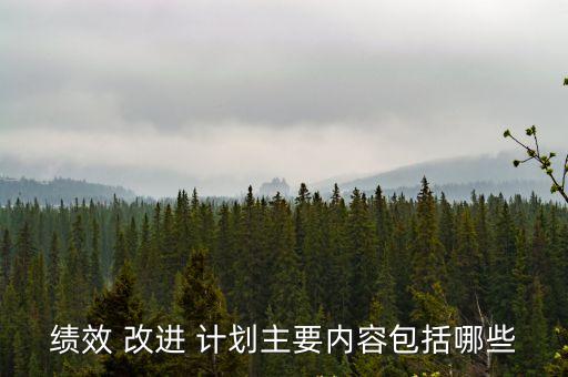改進計劃,管理者與員工共同參與的過程分四個階段進行改進