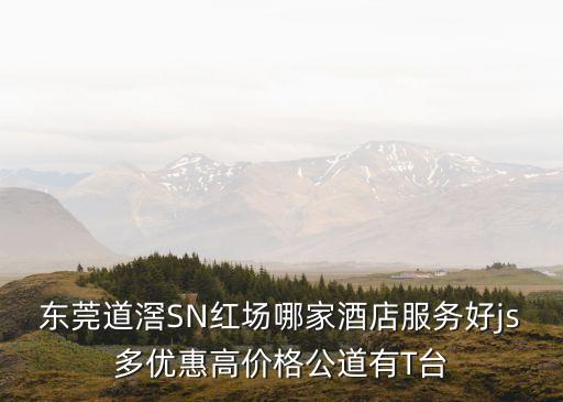 東莞道滘SN紅場哪家酒店服務好js多優惠高價格公道有T臺