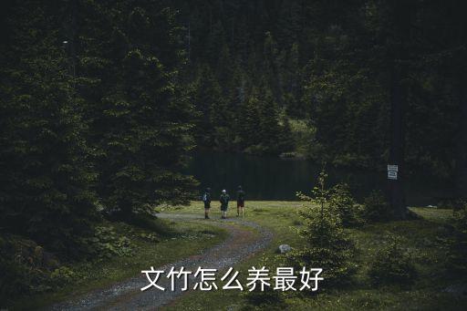 文竹怎么養(yǎng)最好