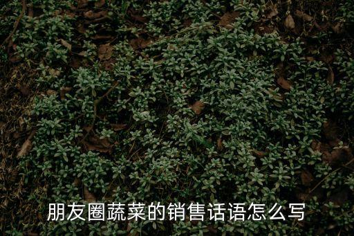 朋友圈蔬菜的銷售話語怎么寫