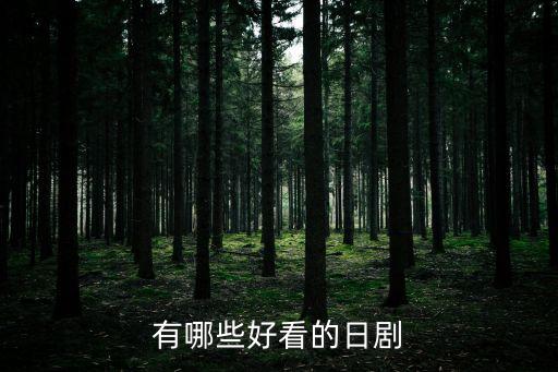 好看的日本電視劇，有哪些好看的日劇