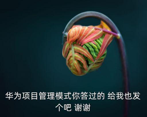 華為項目管理模式你答過的 給我也發個吧 謝謝