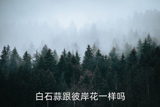 白石蒜跟彼岸花一樣嗎