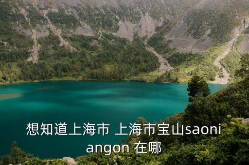想知道上海市 上海市寶山saoniangon 在哪