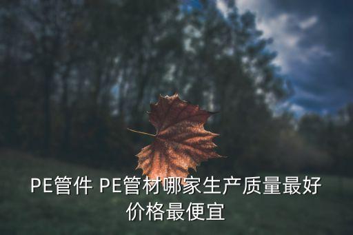 PE管件 PE管材哪家生產(chǎn)質(zhì)量最好價(jià)格最便宜