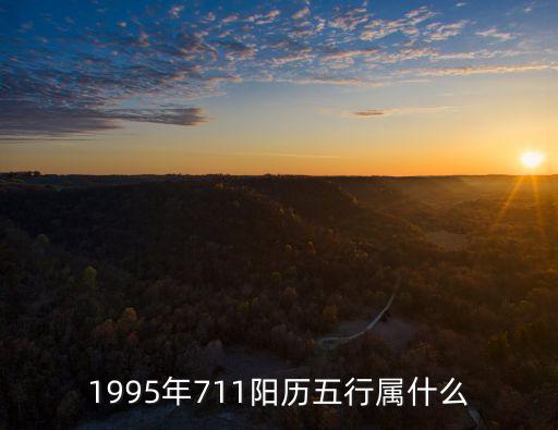 乙亥年五行屬什么，1995年五行是什么