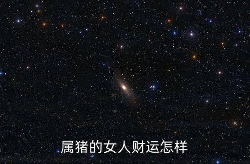 屬豬財運，屬豬的人命和財運好不好