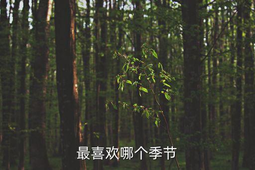 最喜歡哪個季節