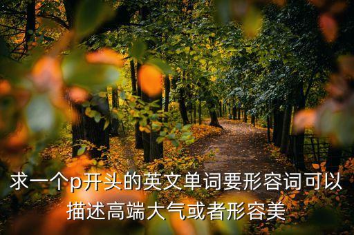 求一個p開頭的英文單詞要形容詞可以描述高端大氣或者形容美