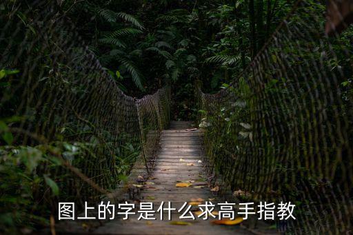 圖上的字是什么求高手指教