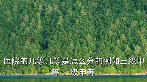 上海市一級醫院和三級有什么區別，上海1甲醫院與3甲醫院哪個好
