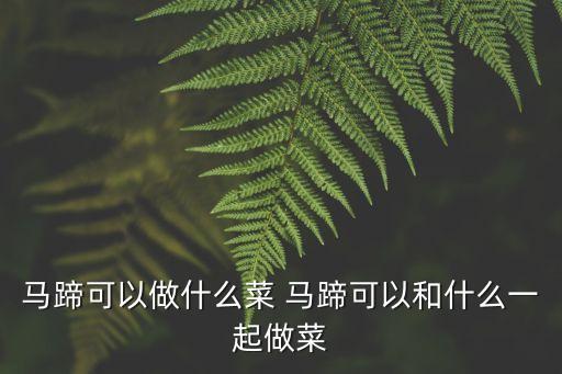 馬蹄可以做什么菜 馬蹄可以和什么一起做菜
