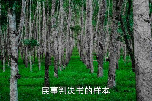 判決書范文，民事判決書的樣本