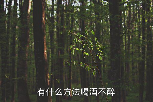 有什么方法喝酒不醉