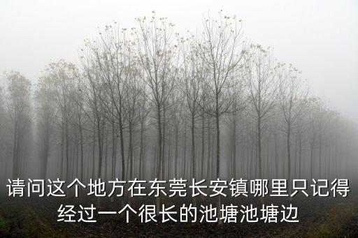 請(qǐng)問這個(gè)地方在東莞長(zhǎng)安鎮(zhèn)哪里只記得經(jīng)過(guò)一個(gè)很長(zhǎng)的池塘池塘邊