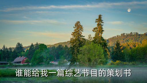 綜藝節(jié)目策劃案，求一份綜藝類節(jié)目的策劃