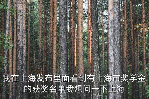 我在上海發(fā)布里面看到有上海市獎學(xué)金的獲獎名單我想問一下上海