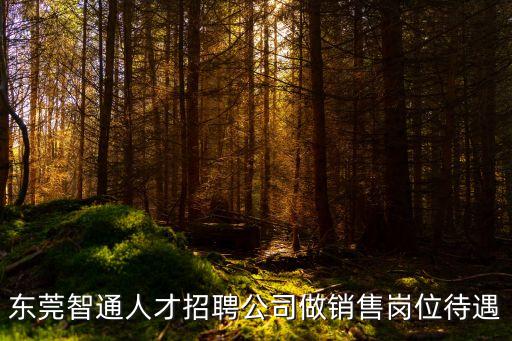 東莞智通人才招聘公司做銷售崗位待遇