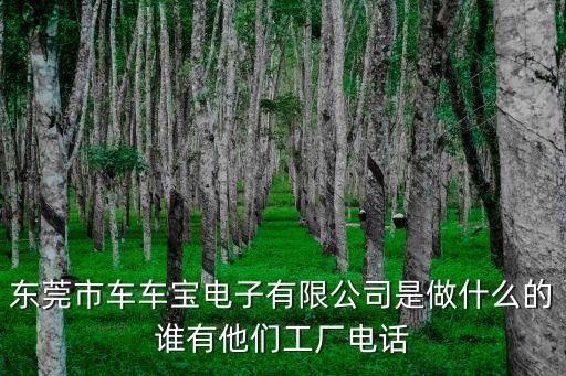 東莞市車車寶電子有限公司是做什么的誰有他們工廠電話