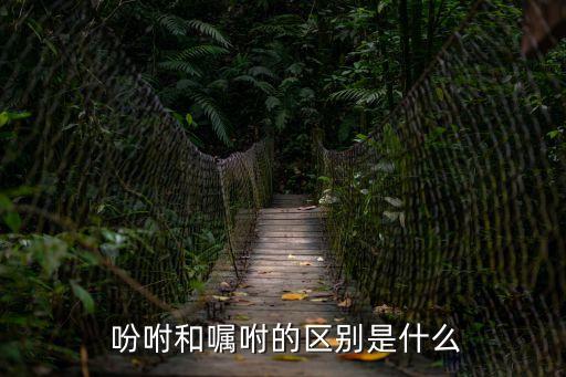  吩咐和囑咐的區別是什么