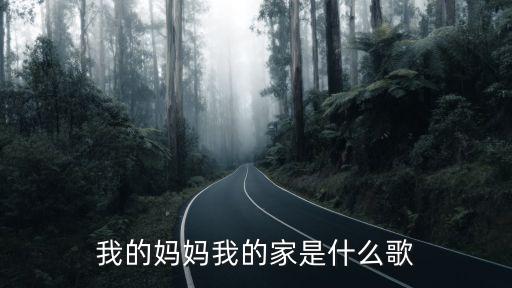 我的媽媽我的家是什么歌