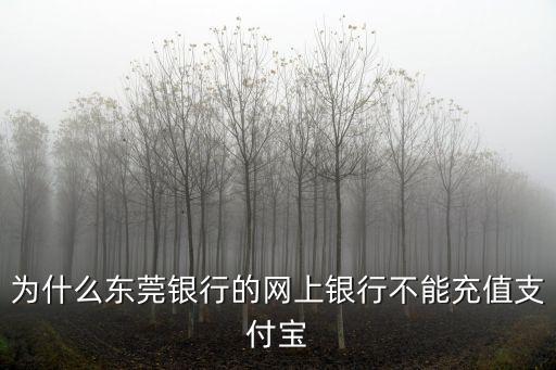 東莞銀行支付寶協議支付，為什么東莞銀行的網上銀行不能充值支付寶