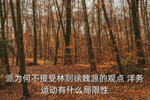 洋務運動的局限性，派為何不接受林則徐魏源的觀點 洋務運動有什么局限性