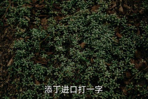 添丁進口，添丁進口打一字