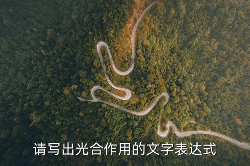 請寫出光合作用的文字表達式
