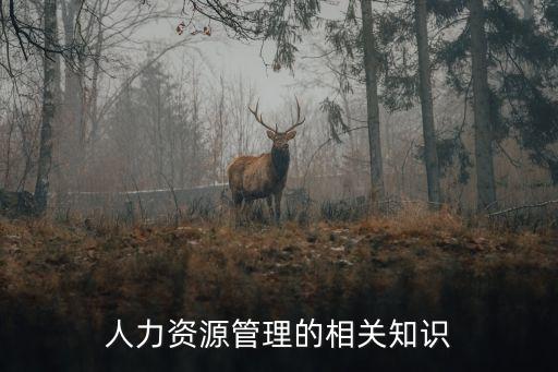 人力資源管理知識，人力資源管理的相關知識