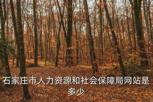 石家莊市人力資源和社會保障局網站是多少