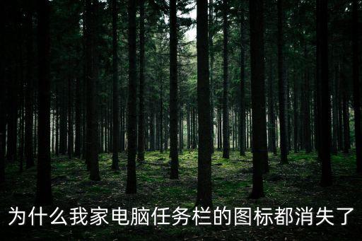 為什么我家電腦任務欄的圖標都消失了