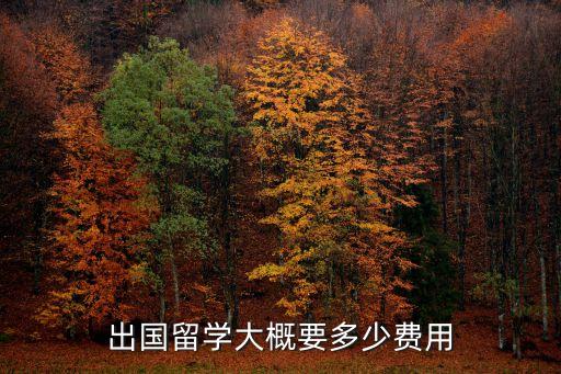 出國留學大概要多少費用