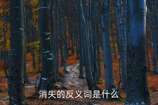 消失拼音，消失什么盡想看拼音