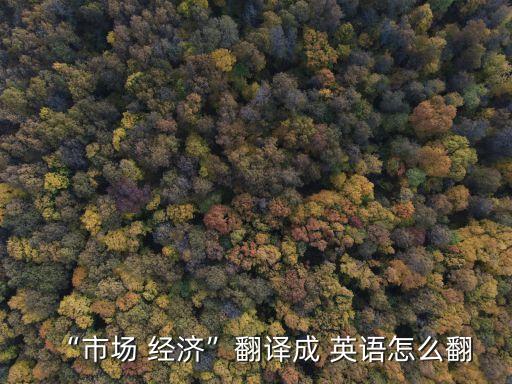 經濟英語怎么說,貨幣數量論的本質是什么,為什么經濟快速成長
