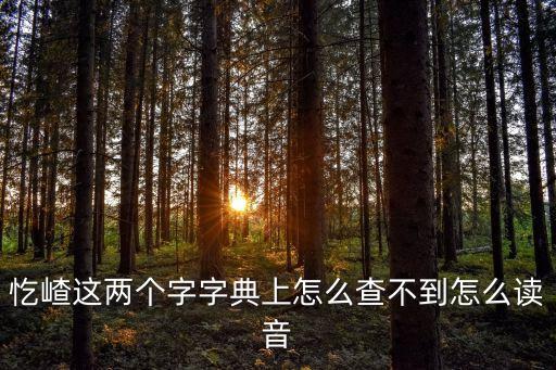 忔嵖這兩個字字典上怎么查不到怎么讀音