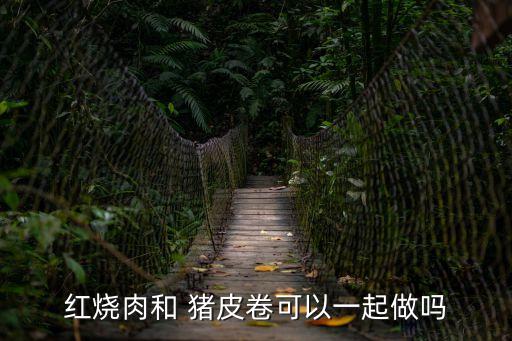 紅燒肉和 豬皮卷可以一起做嗎
